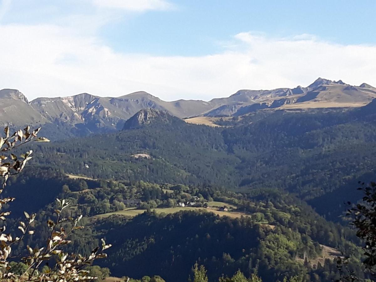 Les Roses Des Bois Bed & Breakfast Murat-le-Quaire